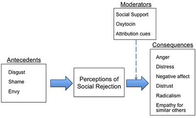 Editorial: The emotional antecedents and consequences of social rejection